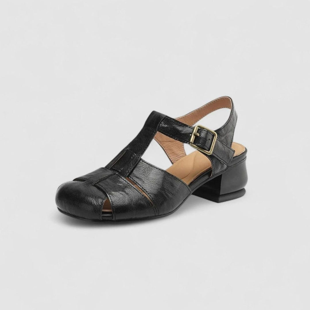 Women's Orthopedic Mary Jane Shoes Block-Heel Buckle Sandals