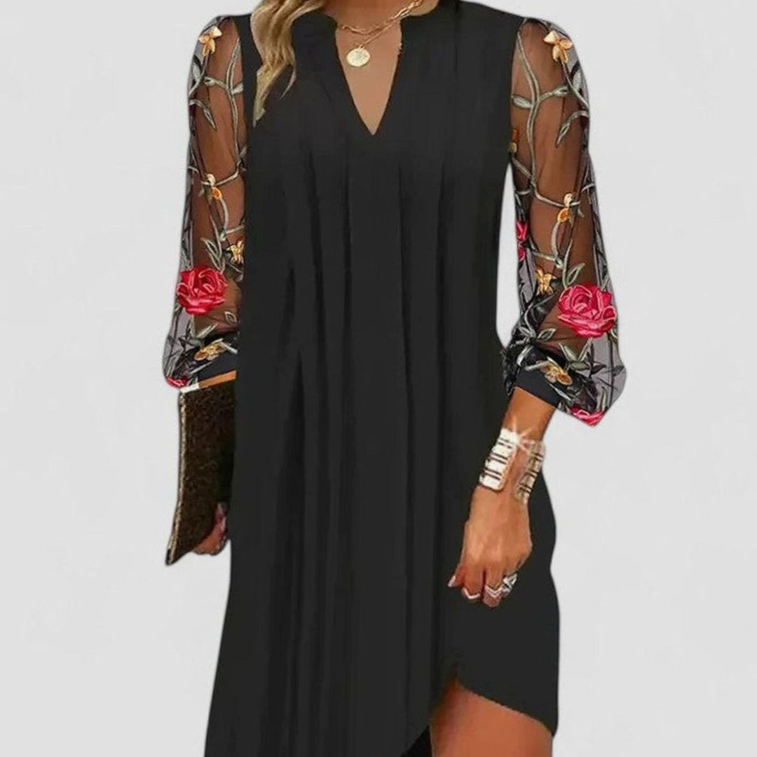 Women's V-Neck Long Sleeve Floral Embroidered Sheer Mini Dress - Black