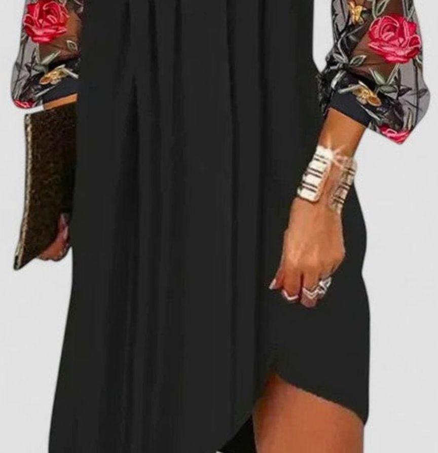 Women's V-Neck Long Sleeve Floral Embroidered Sheer Mini Dress