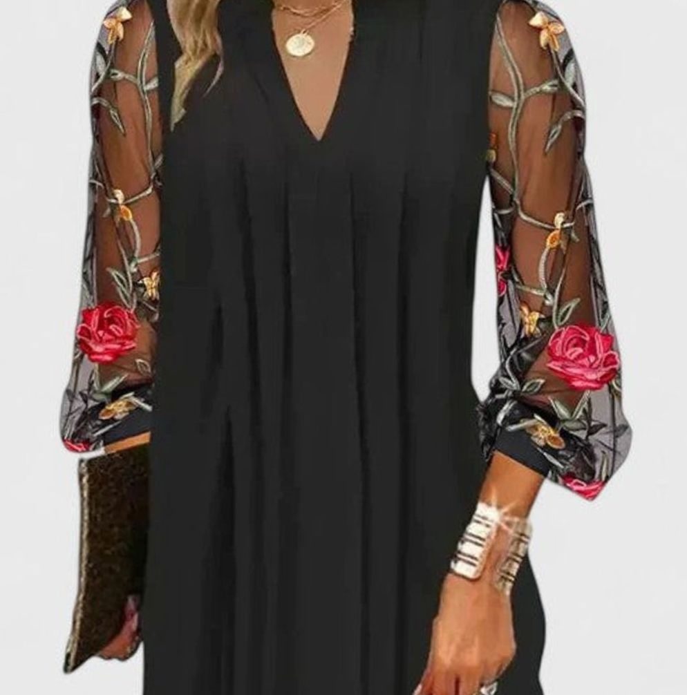 Women's V-Neck Long Sleeve Floral Embroidered Sheer Mini Dress